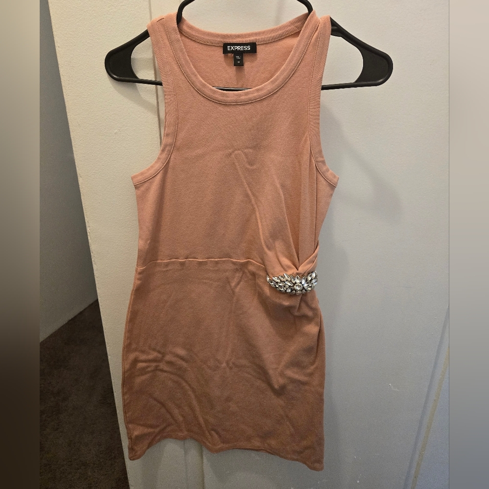 Express Blush Dress with Embellished Detail